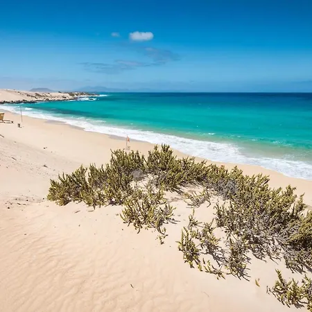 Home2book Charming Attic Sun & Apartment Gran Tarajal